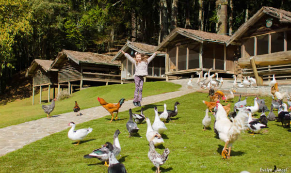 Fazendinha Toriba - Hotel Toriba em Campos do Jordão