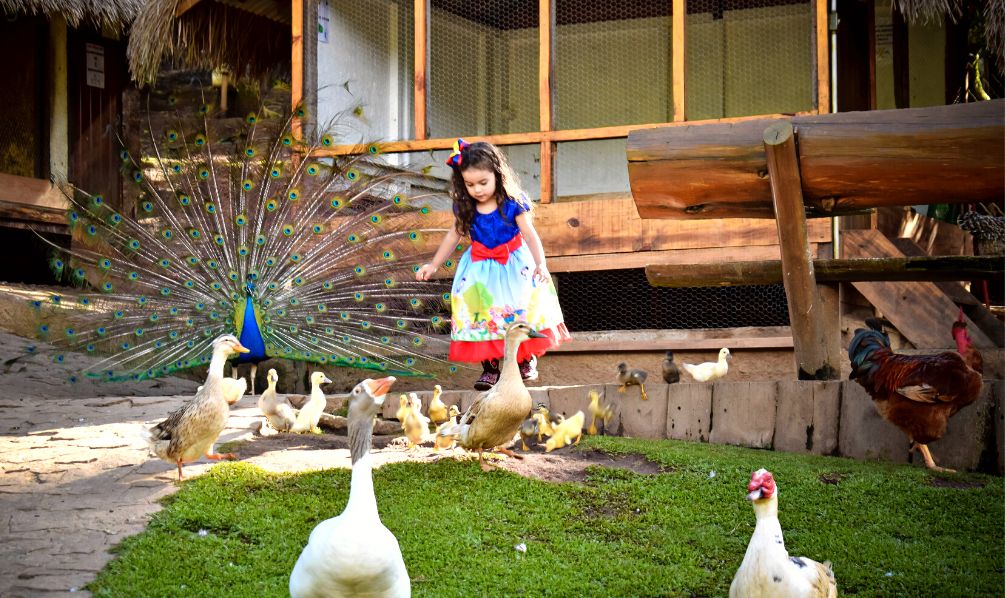 Fazendinha Toriba - Hotel Toriba em Campos do Jordão