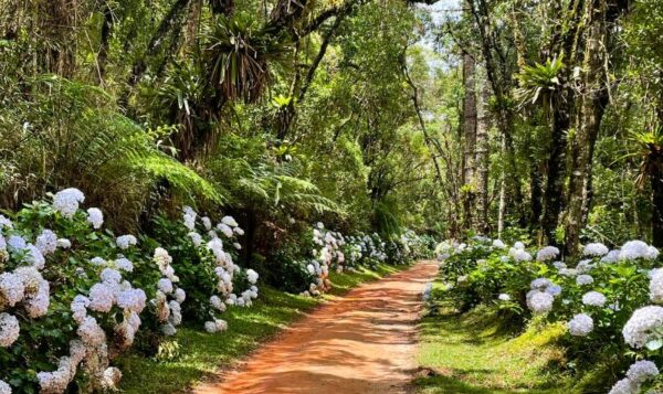 Trilhas Sítio Siriúba - Hotel Toriba em Campos do Jordão