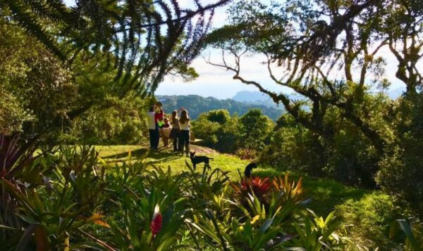 Trilhas Sítio Siriúba - Hotel Toriba em Campos do Jordão